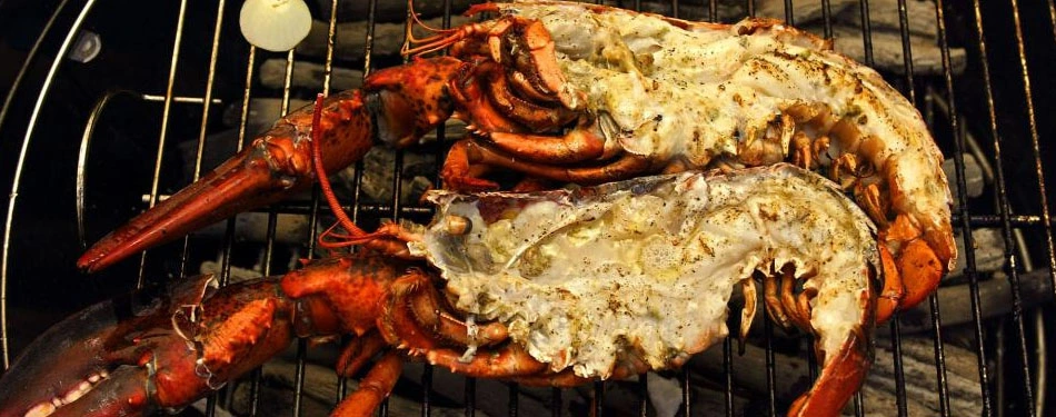 grilled lobsters