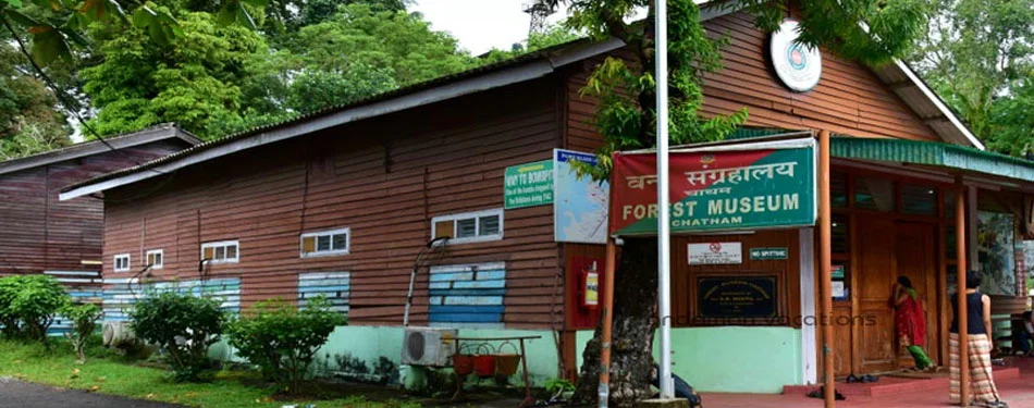 andaman forest museum