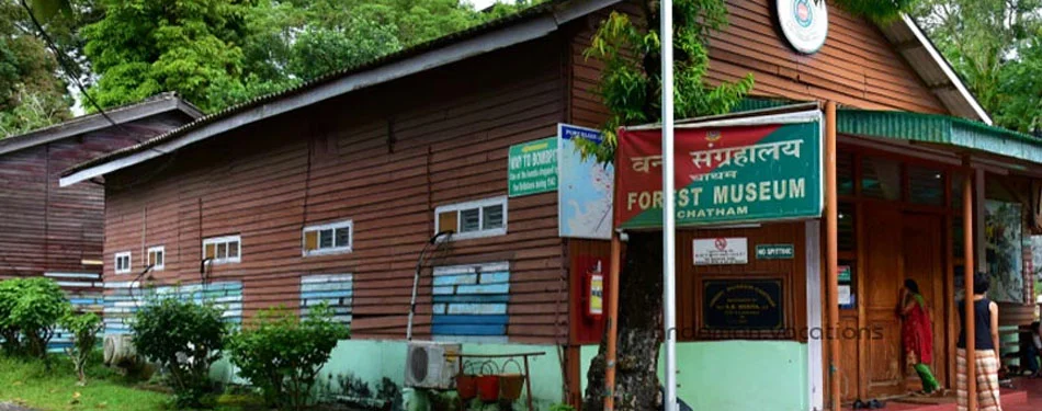 andaman forest museum