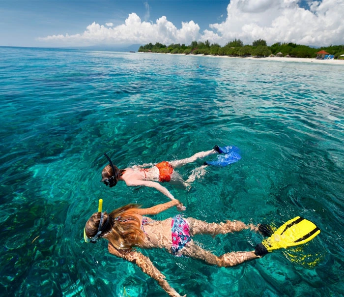 Snorkeling in Andaman: Discover Andaman's Prime Underwater Wonders