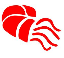 Andaman World Travels logo