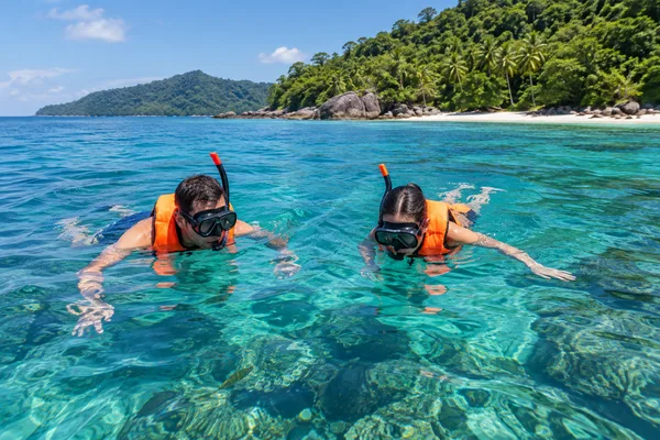 snorkelling activity scene