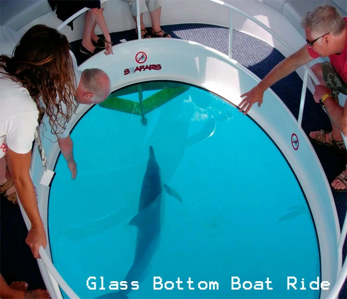 Glass Bottom Boat Ride Andaman