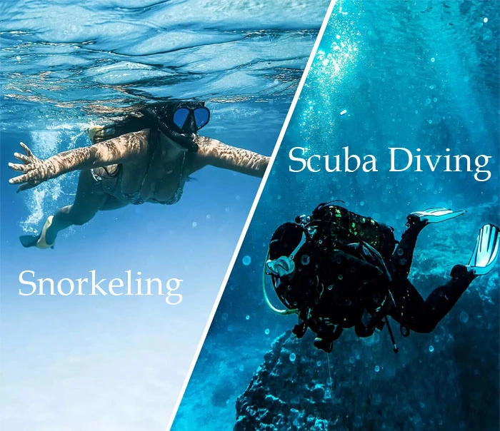 Ultimate Guide to Scuba Diving and Snorkeling in Andaman