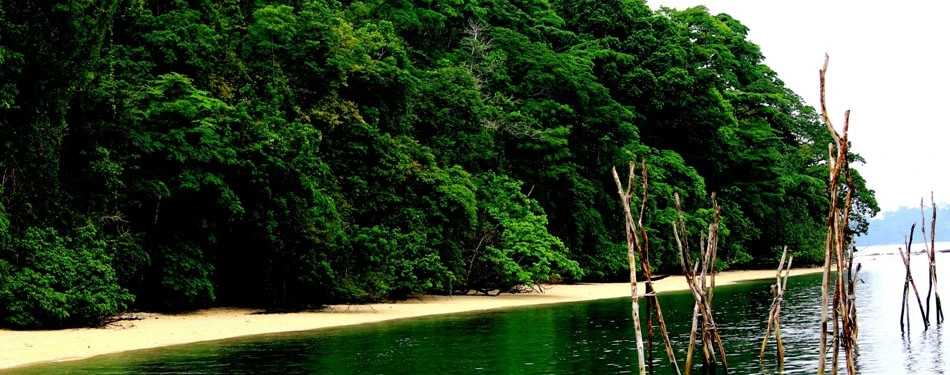 andaman hidden treasures