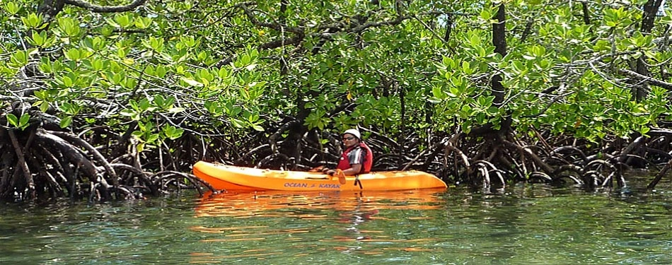 andaman kayaking