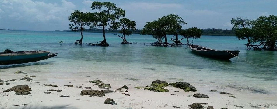 andaman tropical gem