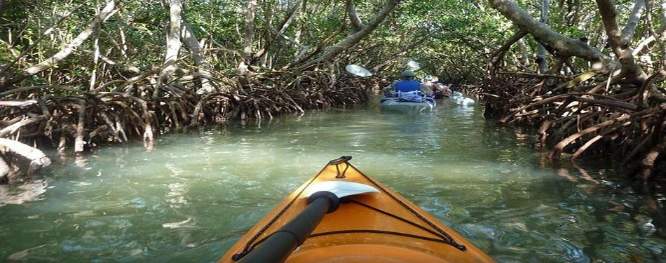 andaman nature