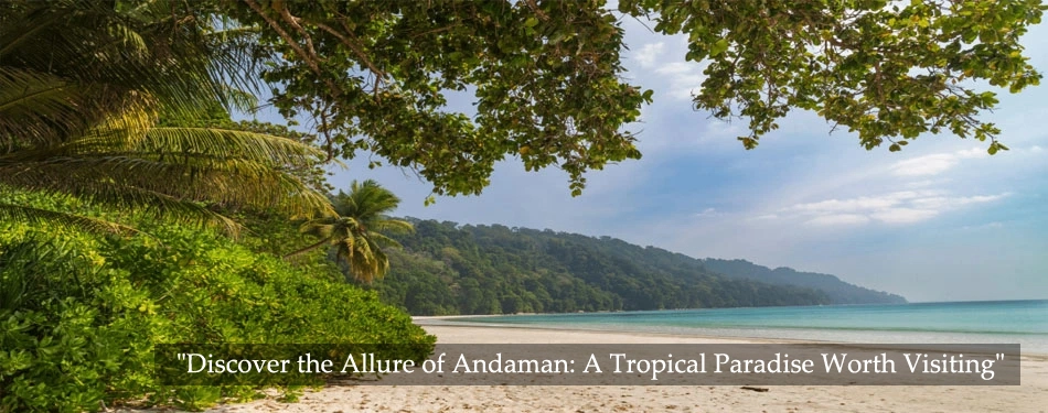 andaman unveiling