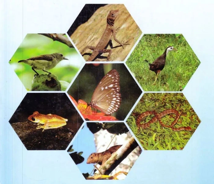 Comprehensive Guide to Andaman Island Wildlife