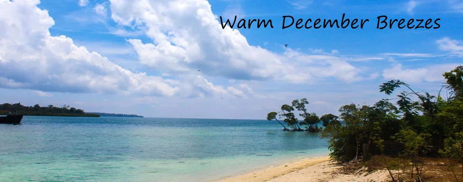 andaman delight