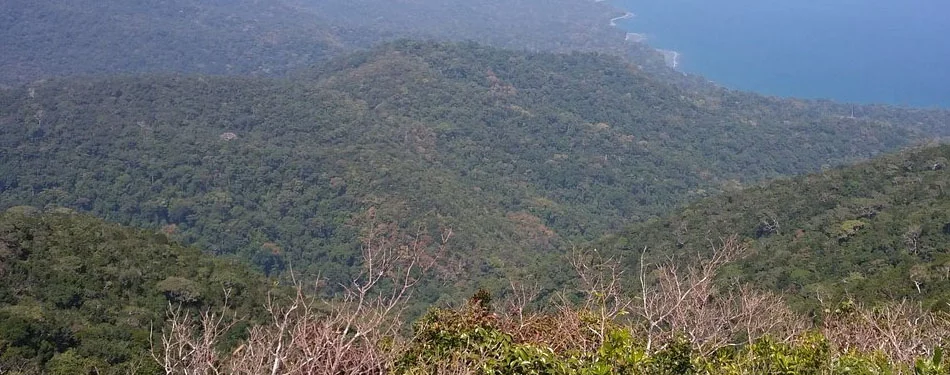 andaman saddle peak