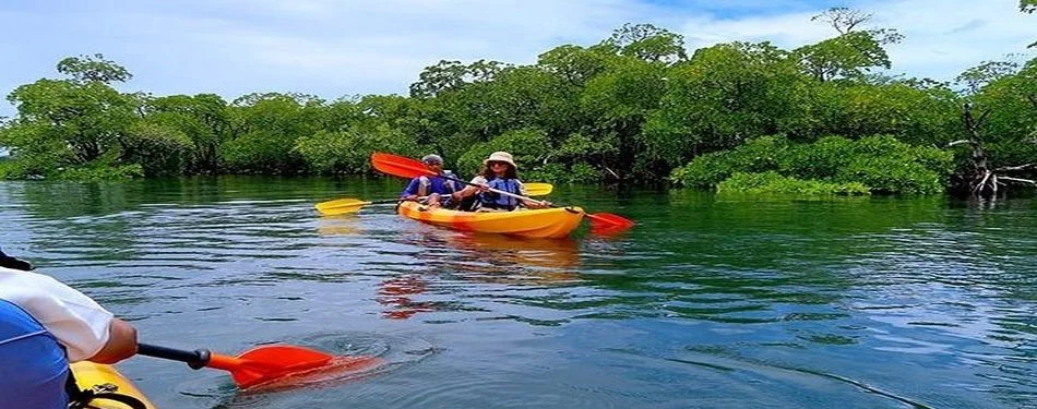 andaman activities