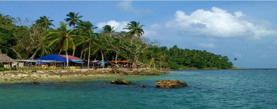 andaman wandoor beach