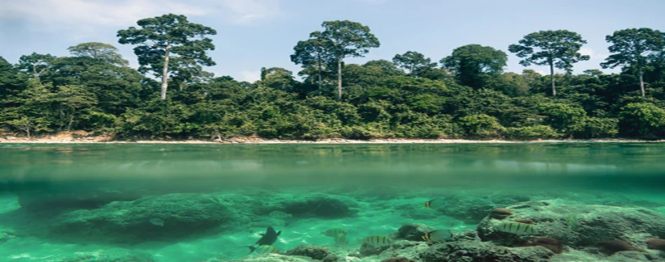 andaman Lakshmanpur beach