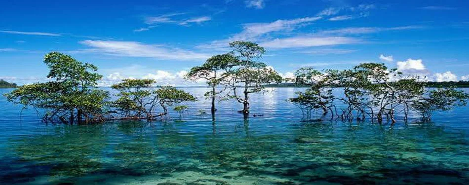 andaman paradise