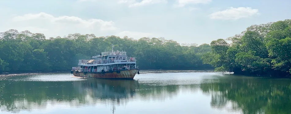 andaman yerrata mangrove