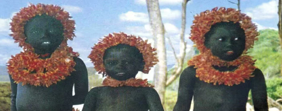 andaman jarawa tribe