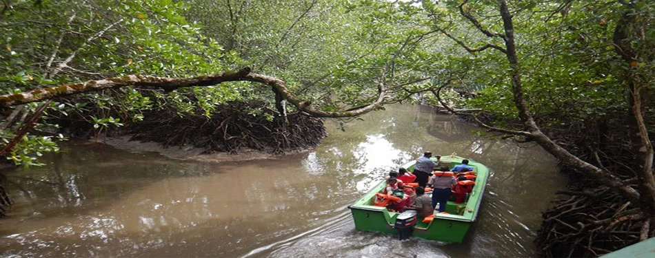 andaman baratang island