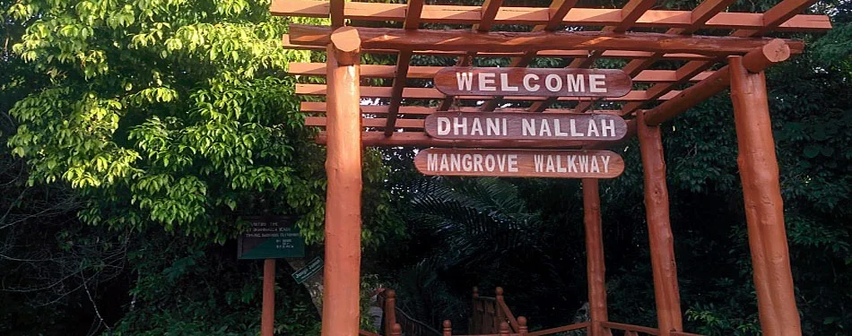 andaman dhani nallah accommodations