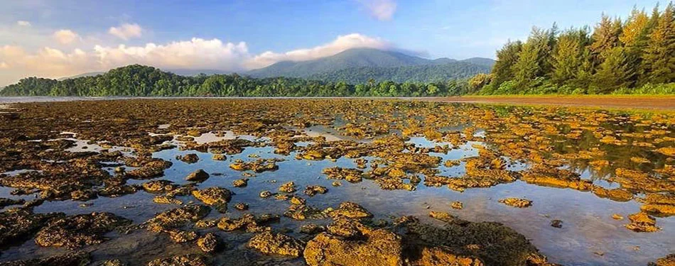 andaman activities at kalipur beach