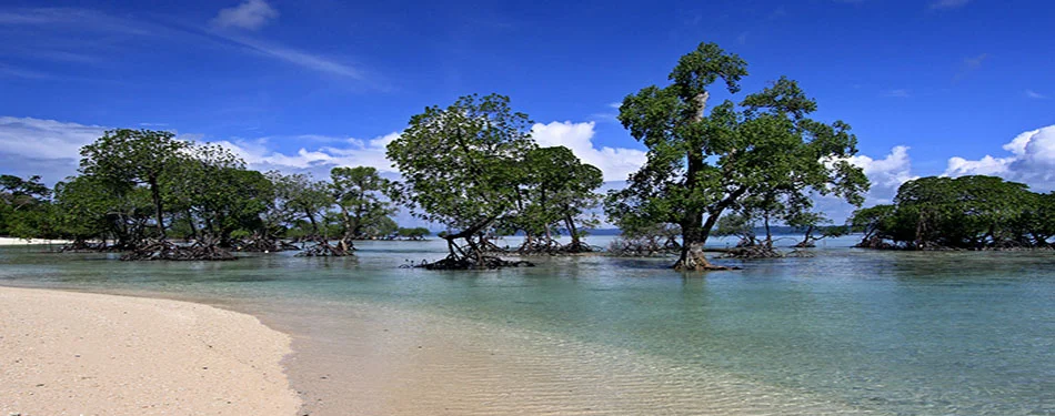 andaman kalipur beach