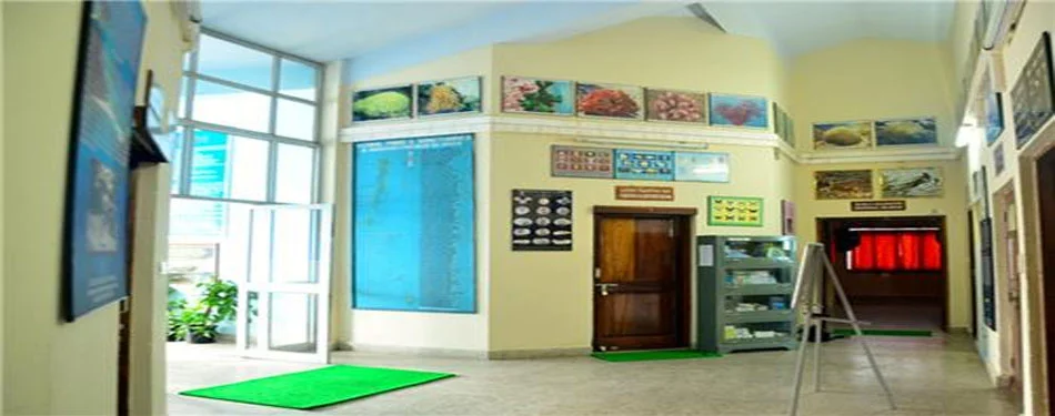 andaman zsi museum