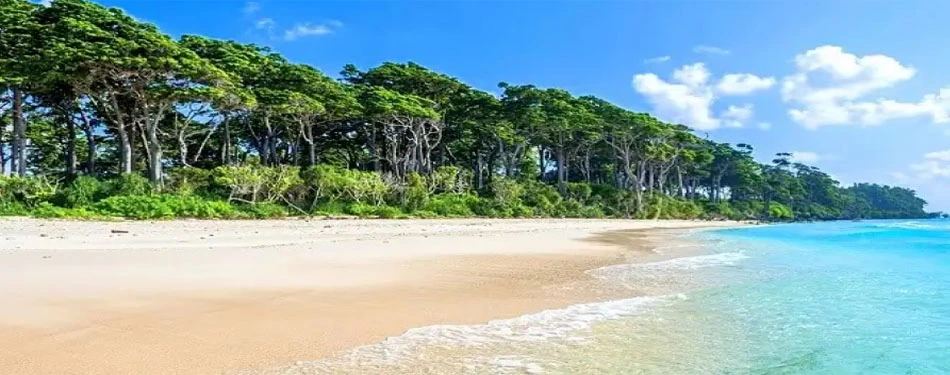 Andaman Rains