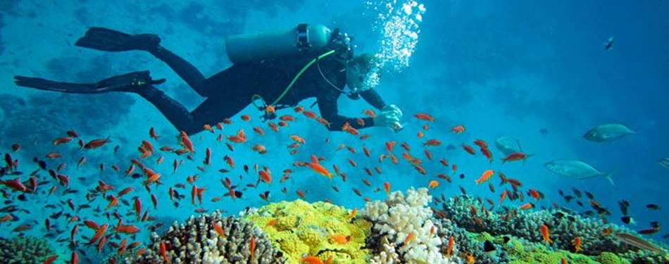 Andaman Experiences