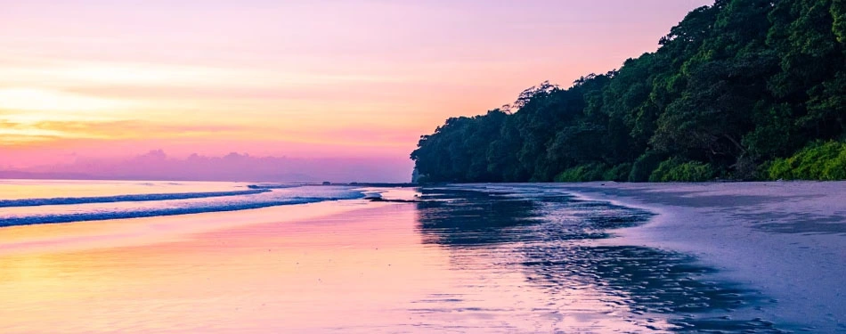 Andaman Havelock Island