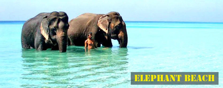 Andaman Paradise
