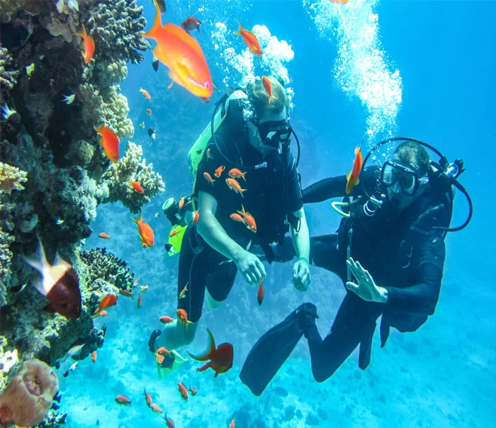 Exploring Depths: Unforgettable Scuba Diving in Andaman's Waters