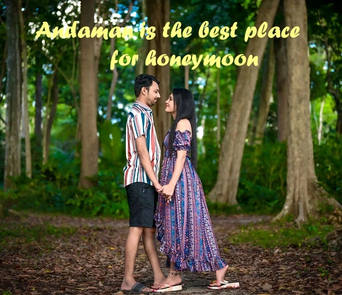 Romantic Escapade: A Dreamy 8-Day Andaman Honeymoon