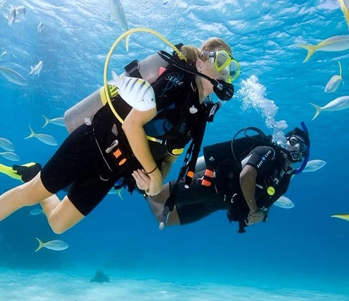 Ultimate Guide for Scuba Diving in Andaman