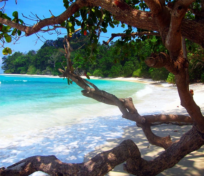 Sail Away to Andaman: Booking Your Dream Vacation Onlinee