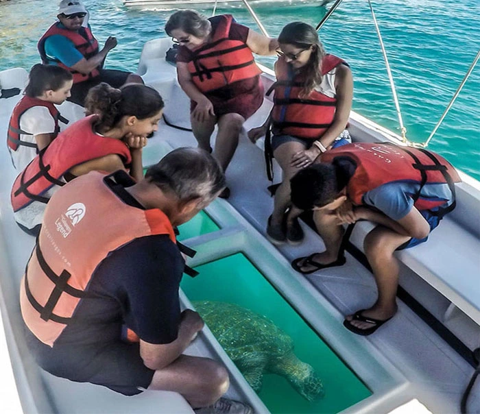 Glass Bottom Boat Rides: A Window to Andaman's Underwater World