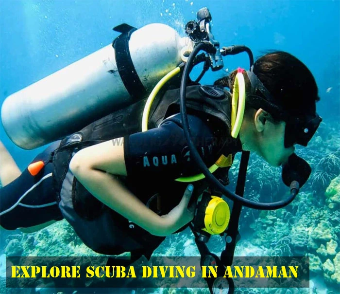 Diving into the Depth: Scuba Adventure in Port Blair