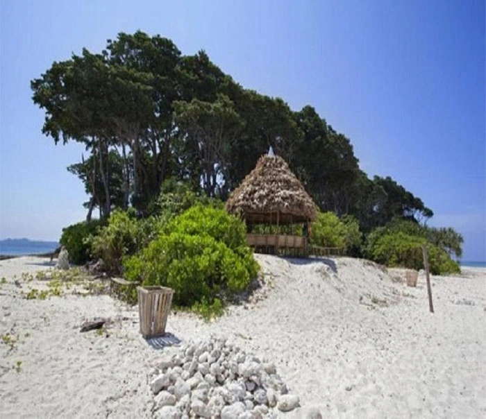 Laxmanpur Beach: Discover Neil Island's Hidden Gem