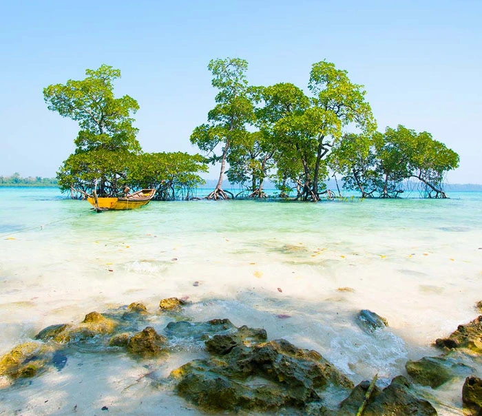 Andaman Tour Packages from Chennai