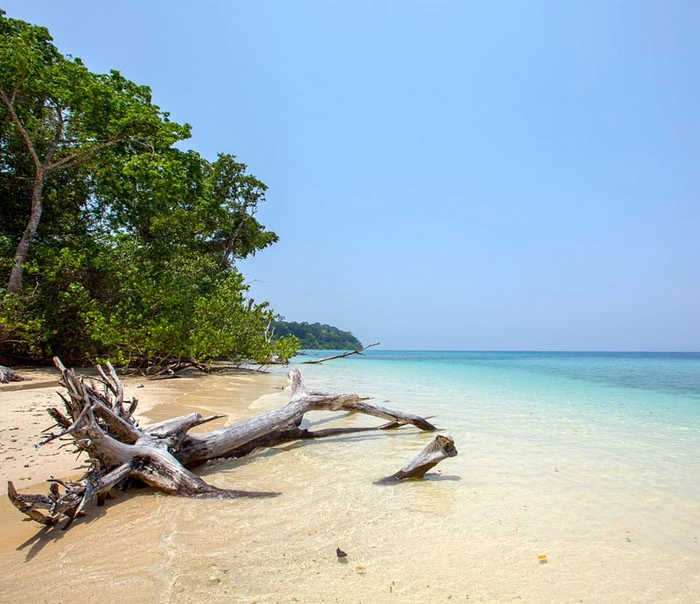 Andaman Tour Packages from Kolkata