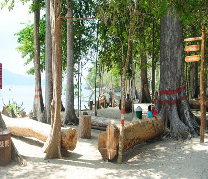 Chidiya Tapu Beach Port Blair Andaman