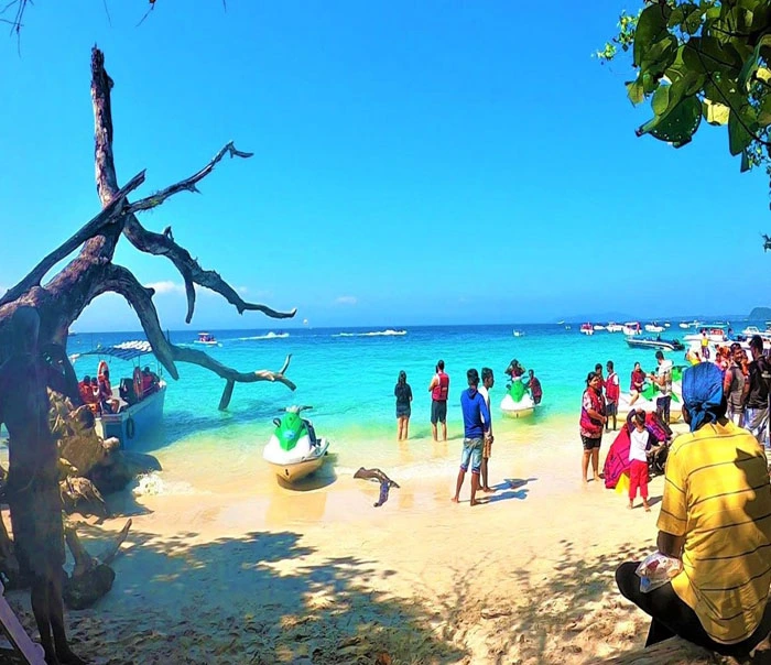 Elephant Beach Havelock