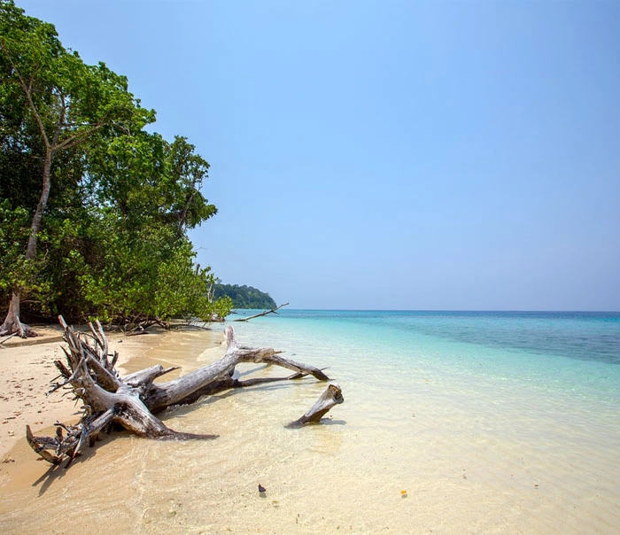 Andaman Tour Packages from Maharashtra