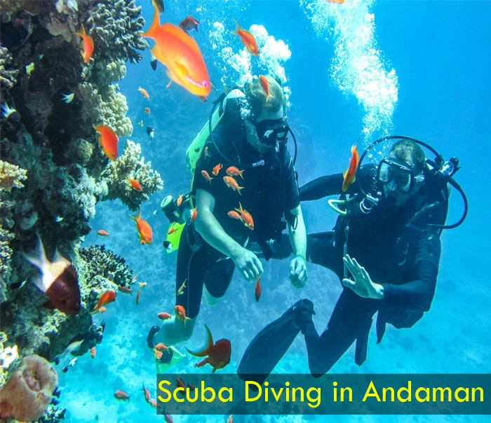 Scuba Diving in Andaman