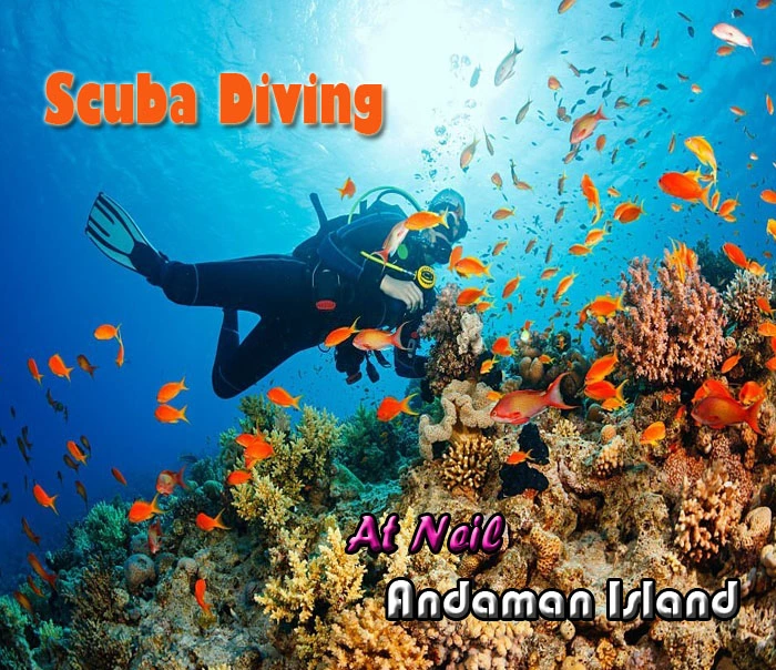 Scuba Diving in Neil Island Shaheed Dweep