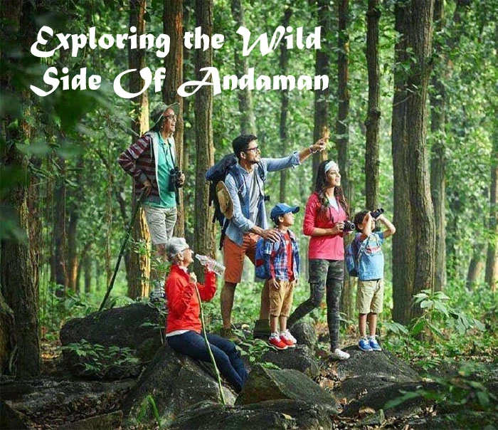 Trekking in Andaman Islands