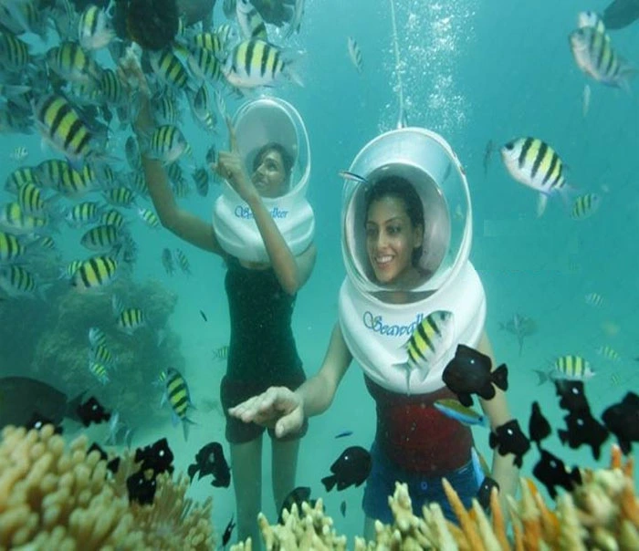 Underwater Sea Walk in North Bay