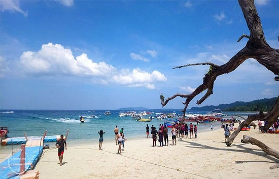 Elephant Beach Havelock