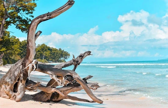 Swaraj Dweep Havelock Island