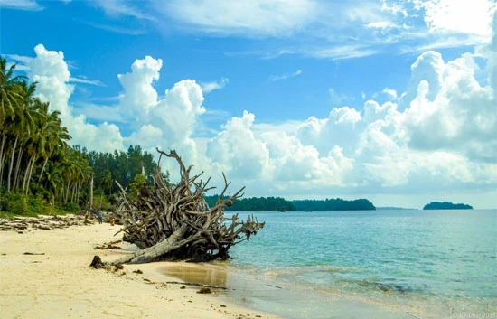 Wandoor Beach Andaman